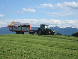 Gras - Silo - Ernte