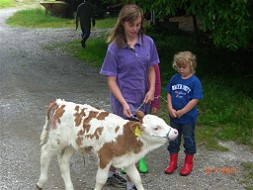 Nicola coucht Kids und Kälbchen
