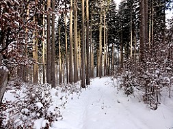 Rundweg, an der Schlucht vorbei