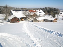Schlittenbahn am Hof